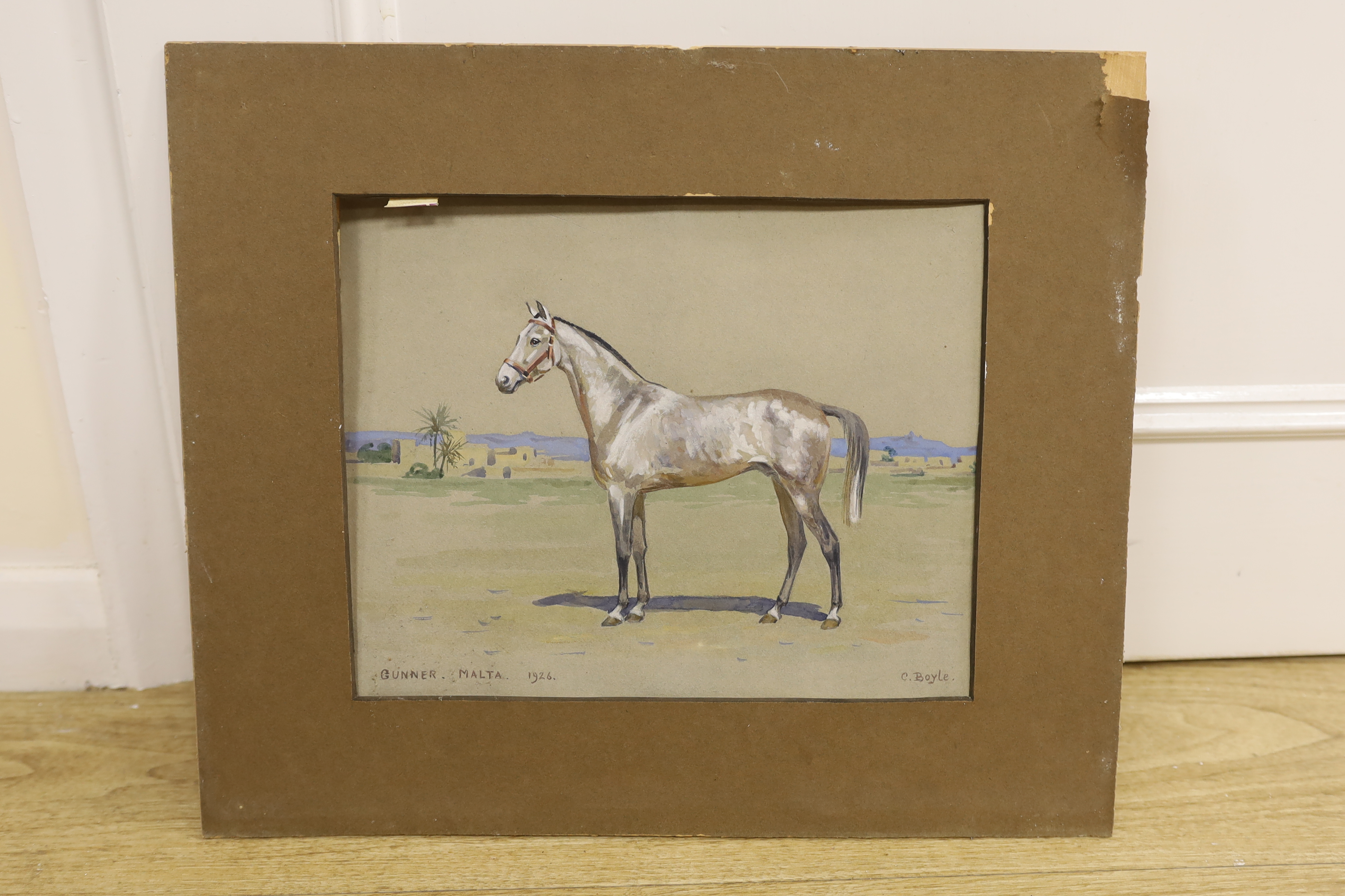 Cerise Boyle (b.1875), equestrian interest heightened watercolour on card, ‘Gunner, Malta, 1926’, signed, mounted, 23 x 29cm, unframed